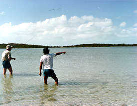 El Pescador Belize