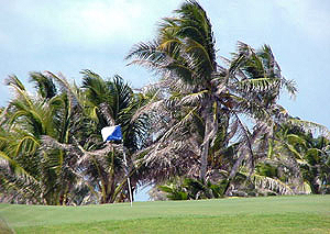 near the hole