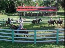 one of our exotic cabañas