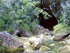 A fabulous 13 day exciting tour that combines The Lodge at Big Falls, a luxury rainforest lodge in the jungles of in the Toledo District of Southern Belize, Coco Plum Caye, an idyllic private island off Dangriga and San Pedro on Ambergris Caye. Rainforest Adventure Tour, majestic mountains, tropical rainforests teeming with wildlife, ancient mayan temples and pyramids along with the friendliest people you will ever meet - Belize has much more to offer than superb scuba diving and snorkeling in the crystal clear waters of the second longest barrier reef in the world, island, caye, tropical, palm trees, coral, barrier reef, diving, scuba, snorkel, swimming, watersports, relaxing