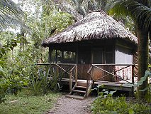 Ian Anderson's CAVES BRANCH Jungle Lodge, Belize, specialises in 
adventurous caveing & jungle expeditions.