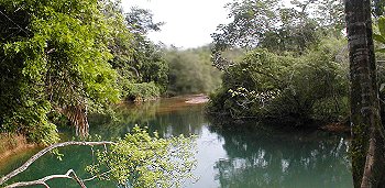 Ian Anderson's CAVES BRANCH Jungle Lodge, Belize, specialises in 
adventurous caveing & jungle expeditions.