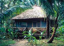 Ian Anderson's CAVES BRANCH Jungle Lodge, Belize, specialises in 
adventurous caveing & jungle expeditions.