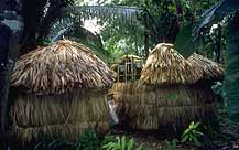 Ian Anderson's CAVES BRANCH Jungle Lodge, Belize, specialises in 
adventurous caveing & jungle expeditions.