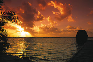 Cayo Espanto is a luxurious private island destination for the discerning traveler seeking quality accommodations, first class service. This idyllic island offers beautiful beaches, tropical sun, fantastic scuba-diving and mysterious Mayan ruins, waiting for you in Belize!