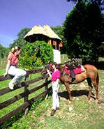 Chaa Creek Cottages, Jungle Lodge, Inland Expeditions and Spa - pioneers in natural history travel to Belize.