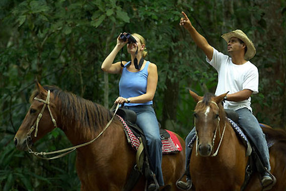 chan chich lodge, belize, thatched roof cabanas in the heart   of the Mayan empire in Belize and the 
tropical jungle 
in Belize