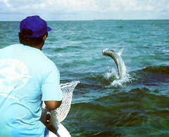 El Pescador is the premier destination in Belize for anglers and divers. Situated on a private beach, this colonial style lodge offers courteous English-speaking guides trained to accomodate every type of angler at every skill level. El Pescador on Belize's historic Ambergris Caye is a colonial style lodge, situated on a private coconut studded beach, slightly isolated and away from the hustle and bustle of crowds yet close enough to San Pedro to enjoy a day shopping or an evening in town.