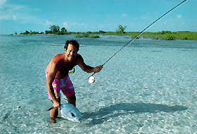 El Pescador is the premier destination in Belize for anglers and divers. Situated on a private beach, this colonial style lodge offers courteous English-speaking guides trained to accomodate every type of angler at every skill level. El Pescador on Belize's historic Ambergris Caye is a colonial style lodge, situated on a private coconut studded beach, slightly isolated and away from the hustle and bustle of crowds yet close enough to San Pedro to enjoy a day shopping or an evening in town.