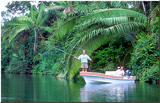 El Pescador Punta Gorda, the most diverse destination for anglers, amid an elegant Rainforest environment in Southern Belize.  We offer both salt and fresh water, light tackle fishing with swift and easy access to numerous flats, cayes, lagoons, estuaries and freshwater rivers.  Our fishery boasts healthy, untouched populations of Permit, Tarpon, Bonefish 
and Snook.