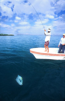 El Pescador Punta Gorda, the most diverse destination for anglers, amid an elegant Rainforest environment in southern Belize.  We offer both salt and fresh water, light tackle fishing with swift and easy access to numerous flats, cayes, lagoons, estuaries and freshwater rivers.  Our fishery boasts healthy, untouched populations of Permit, Tarpon, Bonefish 
and Snook.