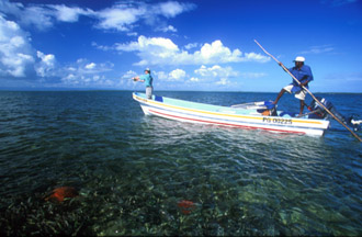 El Pescador Punta Gorda, the most diverse destination for anglers, amid an elegant Rainforest environment in Southern Belize.  We offer both salt and fresh water, light tackle fishing with swift and easy access to numerous flats, cayes, lagoons, estuaries and freshwater rivers.  Our fishery boasts healthy, untouched populations of Permit, Tarpon, Bonefish 
and Snook.