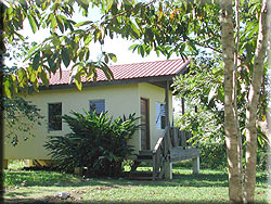 Green Heaven Lodge, located in the rainforest area of Western Belize,  with its individual cabanas offers easy access to the Mayan cities in Belize and the tropical jungle in Belize.
