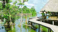 This fabulous special departure tour includes an amazing variety of content and will appeal to anyone with a sense of adventure! Combine the Rainforests of Belize teeming with wildlife, the magnificent Temples of Tikal, lovely Lake Izabal, the dramatic Rio Dulce, the Southern Barrier Reef Islands and the Garifuna Carnival before finally ending in San Pedro on "Temptation Island"