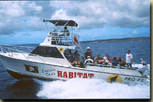 Captain Don's Habitat, Bonaire