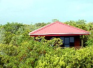 Interrior of Treehouse 