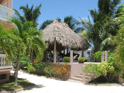 the bar at The Iguana Reef Inn, the premier hotel on Caye Caulker in Belize, is ideal for experiencing the spectacular Scuba, diving, snorkeling, fishing and windsurfing at the Belize barrier reef.
