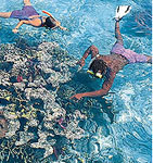Escape to Paradise Adventure Tour is a fabulous 9 night tour to Belize which combines relaxation, rainforests and reefs with romance and adventure in 3 destinations, San Pedro on the island of Ambergris Caye, San Ignacio in the rainforests of Western Belize and the Southern Caribbean coast of Belize.