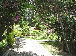 Jungle Lodge Hotel, Tikal National Park, Guatemala