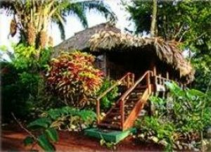 Lamanai Outpost Lodge with its thatched-roof 
cabanas offers easy access to the Mayan cities in Belize and the tropical jungle 
in Belize.