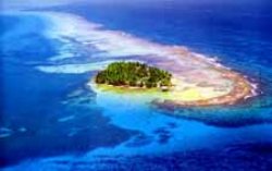 tobacco caye for superb scuba diving on the 
belize barrier reef