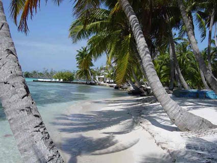 A rare opportunity to  acquire your very own tropical islandin the Caribbean. This idyllic private island is situated on the Belize Barrier Reef, Caribbean Sea. Ideal for private vacation home or resort development. Caribbean, caribbean,Western Caribbean, Properties, Real Estate, Caribbean Real Estate, Islands for Sale,Caribbean Islands for Sale, real estate, Caribbean Properties for Sale,Caribbean Island Properties for Sale, Private Island, Tropical Island,Island Properties for Sale, investment property, investment, Paradise, Paradise Islands,Coconut Trees, Coral Islands, Coral Island, belize, Belize, Belize Island Properties for Sale,Belize Islands, Keys,  barrier reef, Barrier Reef, Belize Barrier Reef, belize barrier reef,Central America, island, islands,  caye, cayes, Caye, Cayes, palm trees.