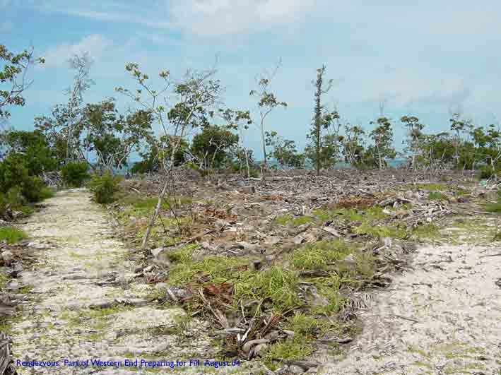A rare opportunity toacquire your very own tropical island in the Caribbean. This idyllic private island is situated on the Belize Barrier Reef, Caribbean Sea. Ideal for private vacation home or resort development,Caribbean, caribbean, Western Caribbean, Properties, Real Estate, Caribbean Real Estate, Islands for Sale, Caribbean Islands for Sale, real estate, Caribbean Properties for Sale, Caribbean Island Properties for Sale, Private Island, Tropical Island,  Island Properties for Sale, investment property, investment, Paradise, Paradise Islands, Coconut Trees, Coral Islands, Coral Island, belize, Belize, Belize Island Properties for Sale, Belize Islands, Keys,  barrier reef, Barrier Reef, Belize Barrier Reef, belize barrier reef, Central America, island, islands,  caye, cayes, Caye, Cayes, palm trees.