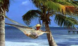 Sun Diver Beach Resort is located north of San Pedro, on one of the best swimming beaches on the idyllic island of Ambergris Caye, off the Caribbean Coast of Belize. All rooms overlook the ocean.