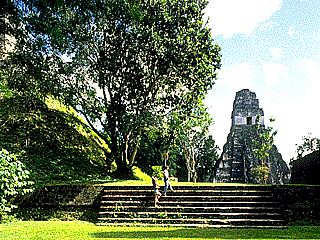 The Tikal National Park, Peten, Guatemala. Photographs of the Temples