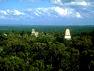 The Tikal National Park, Peten, Guatemala. Photographs of the Temples