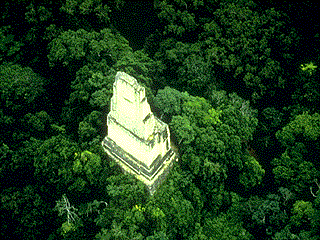 The Tikal National Park, Peten, Guatemala. Photographs of the Temples