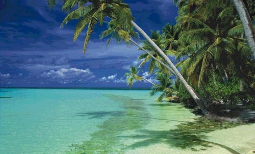 Belize: Inland and Island Adventure Tour