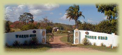 Warrie Head, Cayo, Belize